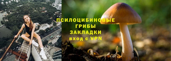 Альфа ПВП Пролетарск